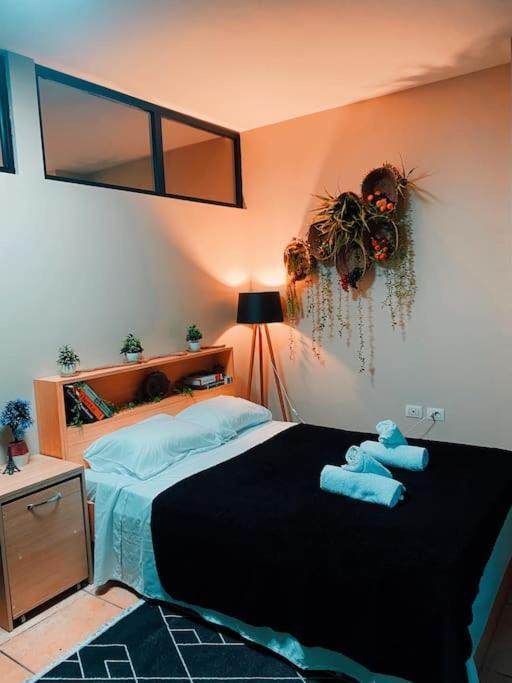 City Central Amazona Appartment 地拉那 外观 照片